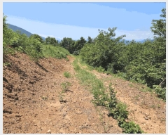  2025Ÿ��967 ��� û���� ������ ���̸� ��7      ����(�Ӿ�)���