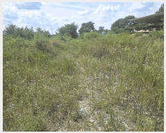  2025Ÿ��1020  �������