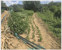  2025Ÿ��1020  �������