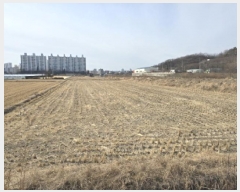  2025Ÿ��6431 ��� ���� �Ͼ��� ������ 1000      ����(��)���