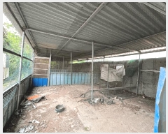  2025Ÿ��7761 ��� ��õ�� �Ӱ��� ���׸� 513      ���ð��