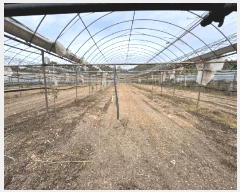  2025Ÿ��7761 ��� ��õ�� �Ӱ��� ���׸� 513      ���ð��