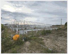  2025Ÿ��7761 ��� ��õ�� �Ӱ��� ���׸� 513      ���ð��