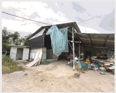  2025Ÿ��7761 ��� ��õ�� �Ӱ��� ���׸� 513      ���ð��