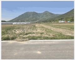  2025Ÿ7838  û   135      ()