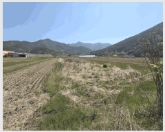  2025Ÿ7838  û   135      ()