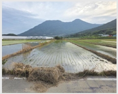  2025Ÿ7838  û   135      ()