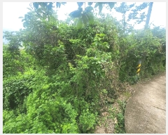  2025Ÿ��8266 ��� û���� û���� ������ 603-38      ����(��1)���