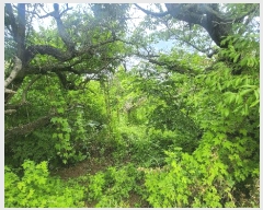  2025Ÿ��8266 ��� û���� û���� ������ 603-38      ����(��1)���