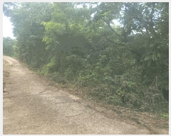  2025Ÿ��8266 ��� û���� û���� ������ 603-38      ����(��1)���