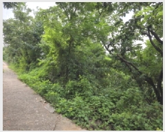  2025Ÿ��8266 ��� û���� û���� ������ 603-38      ����(��1)���