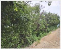  2025Ÿ��8266 ��� û���� û���� ������ 603-38      ����(��1)���