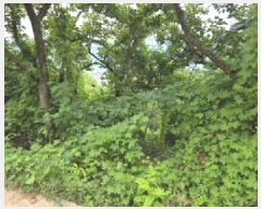  2025Ÿ��8266 ��� û���� û���� ������ 603-38      ����(��1)���