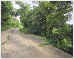  2025Ÿ��8266 ��� û���� û���� ������ 603-38      ����(��1)���