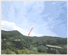  2025Ÿ8356  û ̼  146      (Ӿ)