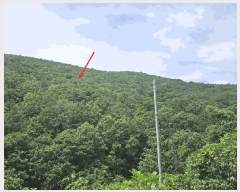  2025Ÿ8356  û ̼  146      (Ӿ)