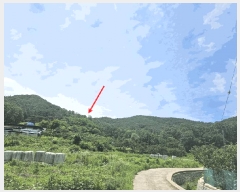  2025Ÿ8356  û ̼  146      (Ӿ)