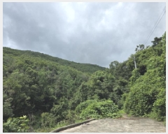  2025Ÿ8356  û ̼  146      (Ӿ)