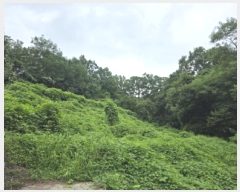  2025Ÿ8356  û ̼  146      (Ӿ)