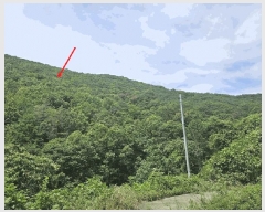  2025Ÿ8356  û ̼  146      (Ӿ)