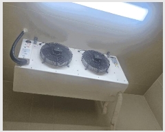  2025Ÿ��8545  ������