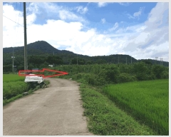  2025Ÿ��8616  ����