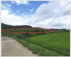  2025Ÿ��8616  ����