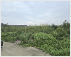  2025Ÿ��8616  ����