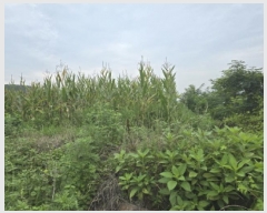  2025Ÿ��8616  ����