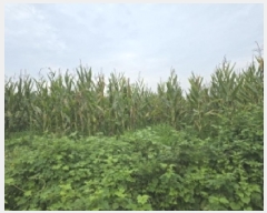  2025Ÿ��8616  ����