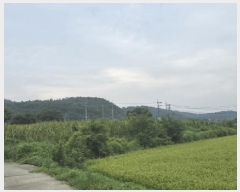  2025Ÿ��8616  ����