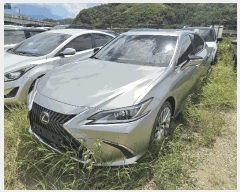  2025Ÿ��8938 �뱸 �ϱ� ��ȣ�� 416, ���丶Ʈ �뱸������     �������