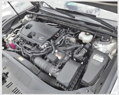  2025Ÿ��8938 �뱸 �ϱ� ��ȣ�� 416, ���丶Ʈ �뱸������     �������