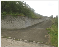  2025Ÿ��9028  �Ӿ߰��