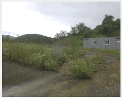  2025Ÿ��9028  �Ӿ߰��