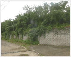  2025Ÿ��9028  �Ӿ߰��