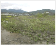  2025Ÿ��9028  �Ӿ߰��