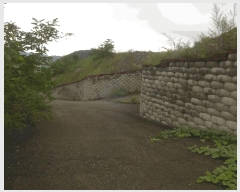  2025Ÿ��9028  �Ӿ߰��