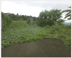  2025Ÿ��9028  �Ӿ߰��