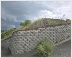  2025Ÿ��9028  �Ӿ߰��