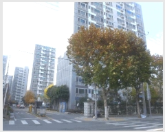  2025Ÿ��9808 �뱸 ���� ȿ�� 337 �¿ո�Ʈ�ν�Ƽ 101�� 1��102ȣ    ����Ʈ���