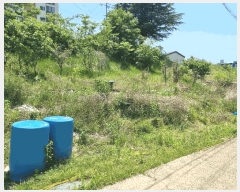  2025Ÿ��785  �����