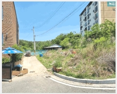  2025Ÿ��785  �����