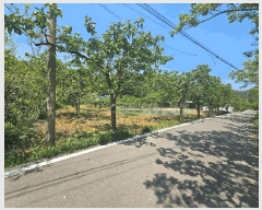  2025Ÿ��795  ����