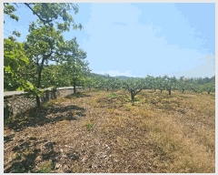  2025Ÿ��795  ����