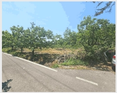  2025Ÿ��795  ����