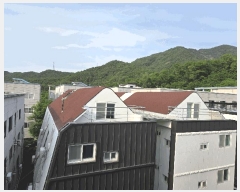  2025Ÿ��850 ��� ĥ� ������ �߸� 226-17      �ٰ������ð��