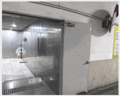  2025Ÿ��5353  �ٸ��󰡰��