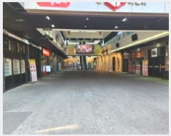  2025Ÿ��5353  �ٸ��󰡰��