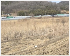  2025Ÿ5698  ĥ õ ȣ 499-1      ()